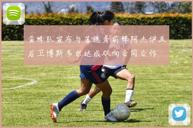 黄蜂队宣布与落选秀前锋阿杰伊及后卫博斯韦尔达成双向合同合作